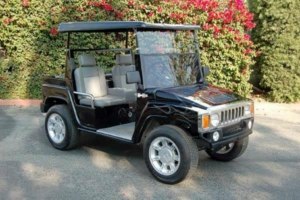 affordable golf cart rental, golf cart rent south carolina